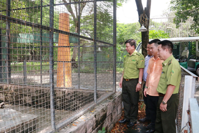 ttxvn _20_ca_the_ho_va_1_con_bao_den_chet_bat_thuong_tai_khu_du_lich_vuon_xoai_resize.jpg