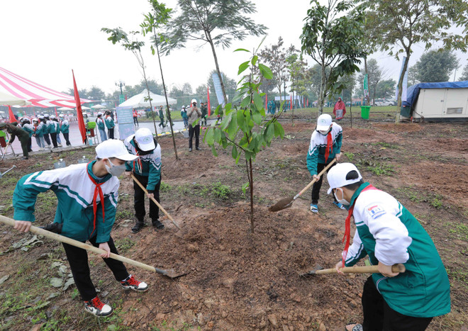 Nhiều học sinh tham dự “Tết trồng cây đời đời nhớ ơn Bác Hồ” ở tỉnh Phú Thọ. (Ảnh: Vũ Sinh/TTXVN) Trồng cây gây rừng: Bộ TN-MT sẽ tôn vinh các sáng kiến, cách làm hay ảnh 1
