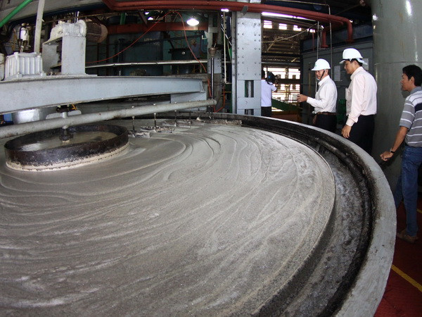 Đường tăng giá nhưng người trồng mía chưa được hưởng lợi ảnh 1