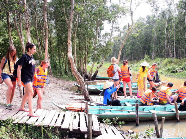 Du lịch mùa nước nổi tại Đồng Tháp đã sẵn sàng đón du khách ảnh 1