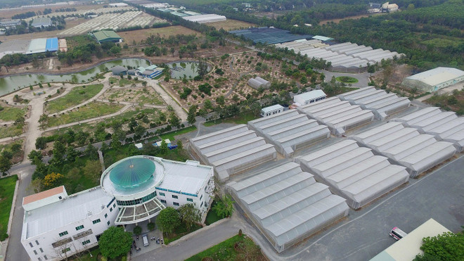 Chuẩn bị tốt nhất cho Hội nghị Xúc tiến đầu tư vào Hóc Môn và Củ Chi ảnh 2