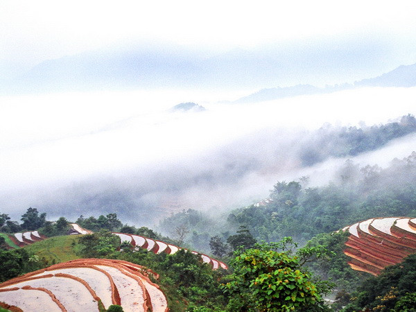 Không khí lạnh tràn về Bắc Bộ, Hà Nội xuống đến 13 độ C ảnh 1