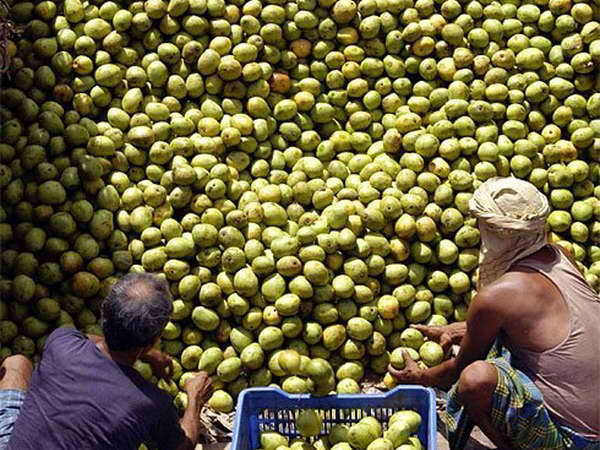 “Vị chua của xoài" trong quan hệ thương mại Ấn Độ-EU ảnh 1