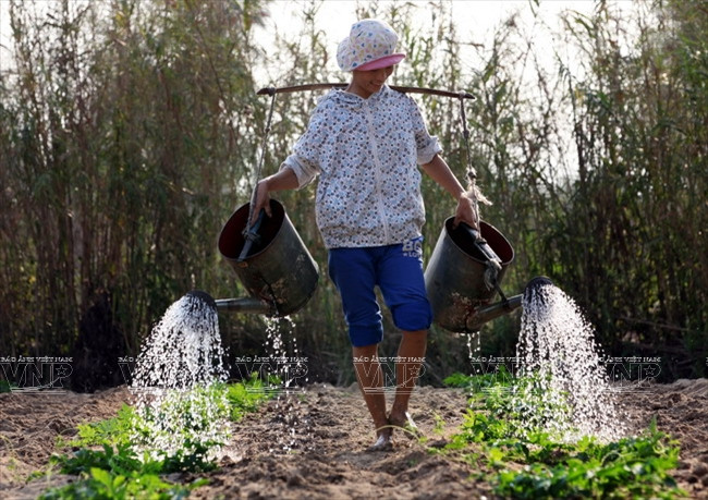Những đôi quang gánh "chở" tâm hồn người Việt vùng thôn quê ảnh 10
