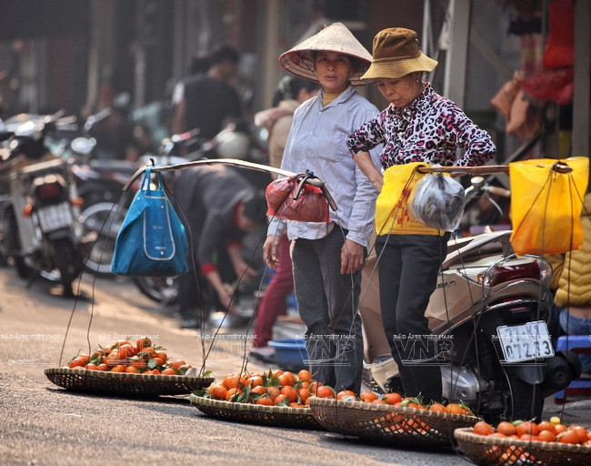 Những đôi quang gánh "chở" tâm hồn người Việt vùng thôn quê ảnh 11