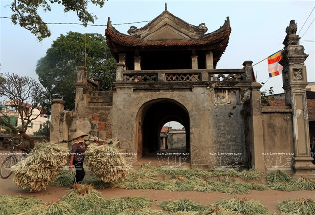 Những đôi quang gánh "chở" tâm hồn người Việt vùng thôn quê ảnh 6