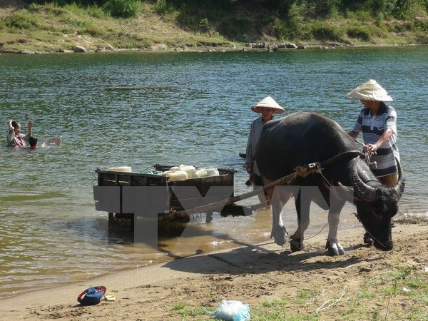 Các tỉnh vùng Tây Bắc có mức giá sinh hoạt “đắt đỏ” nhất trong cả nước ảnh 1