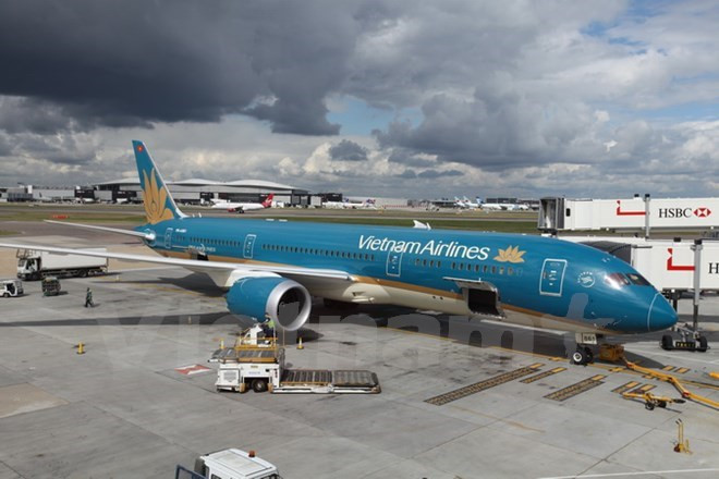 Ảnh minh họa. (Ảnh: Đỗ Sinh/Vietnam+) Vietnam Airlines bố trí lại quầy làm thủ tục cho hành khách ưu tiên ảnh 1
