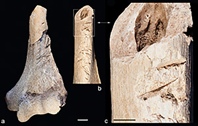 Phát hiện mức độ bạo lực kinh dị của con người 6.000 năm trước ảnh 2