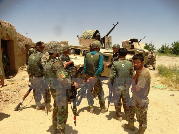 Afghanistan tiêu diệt 11 phiến quân trong chiến dịch truy quét ảnh 1