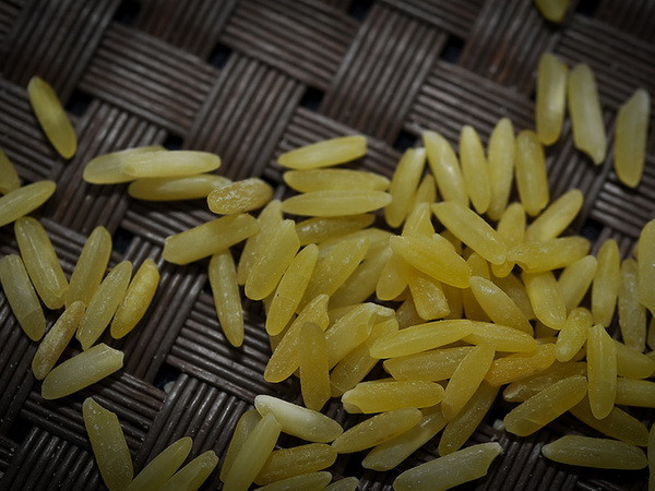 Nhiều học giả Nobel ký thư ngỏ ủng hộ cây trồng biến đổi gen ảnh 1