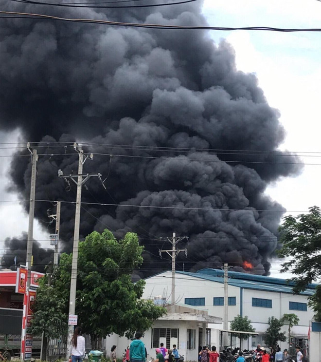 Bình Dương: Kịp thời khống chế vụ cháy lớn ở thị xã Tân Uyên ảnh 1