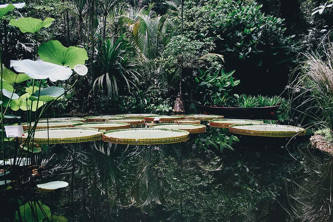 Những nơi nhất định phải 'ghé thăm' khi đặt chân đến Penang ảnh 7