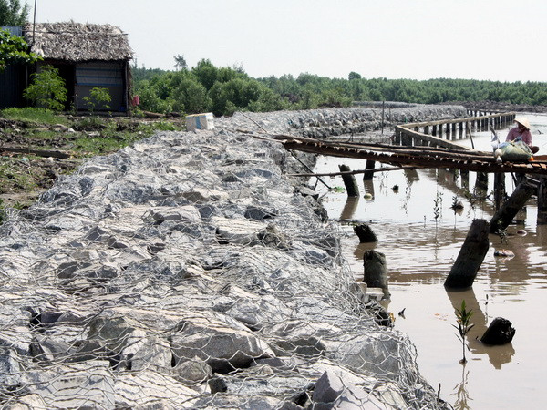 Cà Mau chi 20 tỷ đồng nâng cấp 2 cửa biển Sông Đốc và Khánh Hội ảnh 1