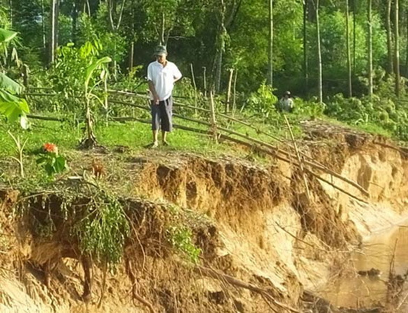 Nhiều tuyến đê tại Thanh Hóa bị sạt lở nghiêm trọng và bị nứt lớn ảnh 2