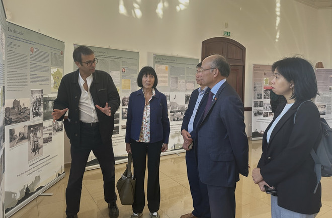 ttxvn_linh tho Camargue (1).jpeg