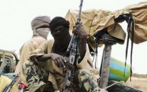 Boko Haram trả tự do cho 24 con tin bị bắt cóc ở Cameroon ảnh 1