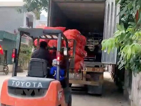 Đề nghị có phương án cho xe hàng lưu thông Hải Dương-Hải Phòng ảnh 1