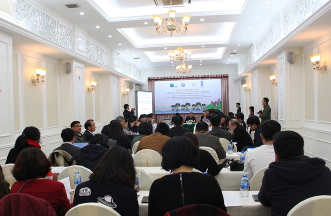 Xây dựng 1.380 ngôi nhà an toàn và tái sinh 1.386 ha rừng ngập mặn ảnh 2