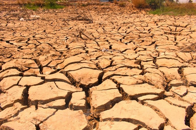 Năm 2019 xuất hiện mưa trái mùa, số lượng bão ít nhưng dị thường ảnh 3