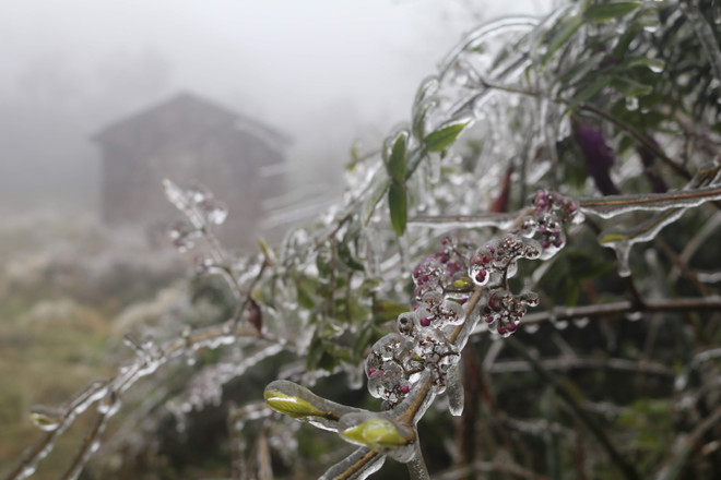 Cao Bằng: Băng giá bao phủ dày từ đỉnh Vài Nòn đến Ca Dằm ảnh 1