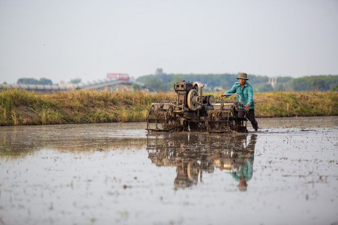 Nhờ có nguồn nước từ Dự án Tưới tiêu khu vực phía Tây sông Vàm Cỏ Đông nông dân xã Hảo Đước, huyện Châu Thành chuẩn bị xuống giống. (Ảnh: Giang Phương/TTXVN) du an nuoc tuoi tieu.jpg