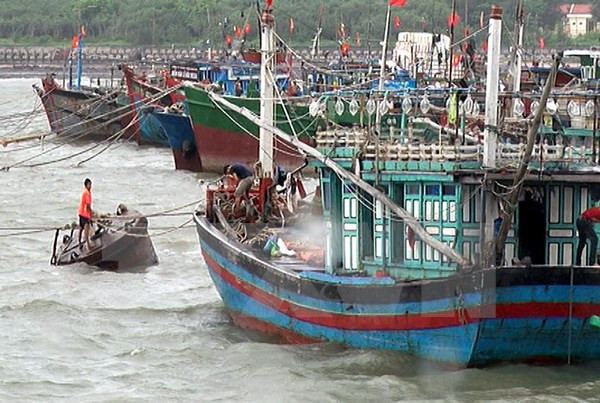 Sự kiện trong nước tuần 5-11/9: Lê Văn Công giành HCV Paralympic 2016 ảnh 10