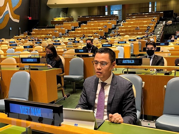 Việt Nam muốn đóng góp thực chất vào nỗ lực nhân đạo của Liên hợp quốc ảnh 1