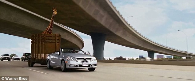 Hươu cao cổ tử vong vì va đầu vào dầm cầu trên đường cao tốc ảnh 2