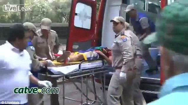 Cậu bé bị hổ cắn nát tay khi trèo qua hàng rào an ninh sở thú ảnh 3