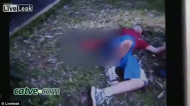 Cậu bé bị hổ cắn nát tay khi trèo qua hàng rào an ninh sở thú ảnh 2