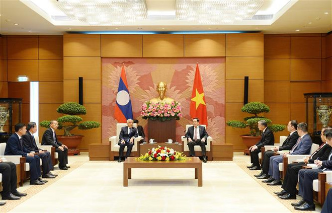 Thúc đẩy, củng cố quan hệ hữu nghị truyền thống Việt Nam-Lào ảnh 1