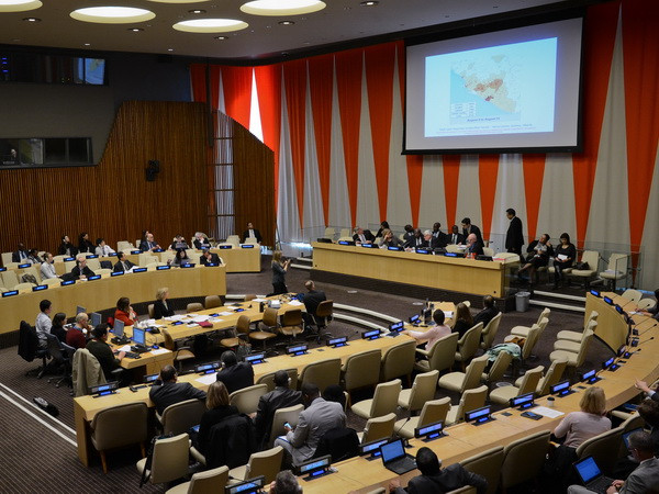 Bảy nước bị tạm tước quyền bỏ phiếu tại Đại hội đồng Liên hợp quốc ảnh 1