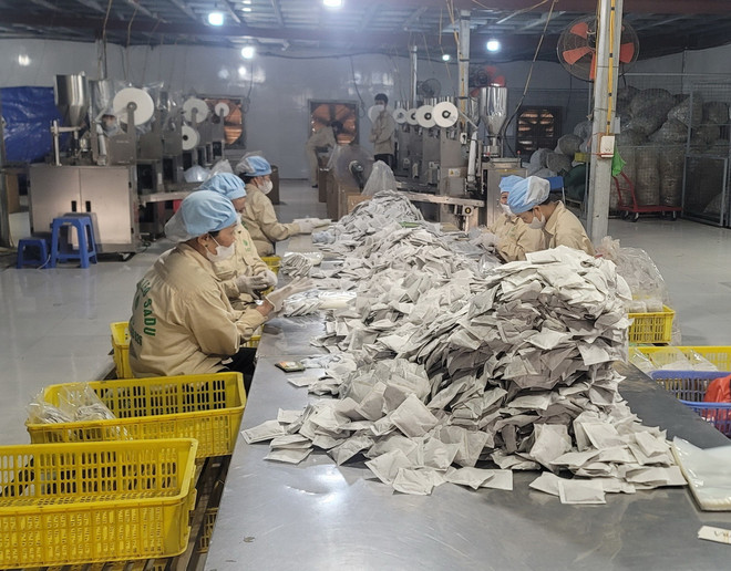 Sản xuất trà dược liệu của Công ty cổ phần nông nghiệp công nghệ cao Thăng Long (Chương Mỹ, Hà Nội). (Ảnh: Phương Anh/TTXVN) TTXVN_1606nongnghiepcongnghecao.jpg