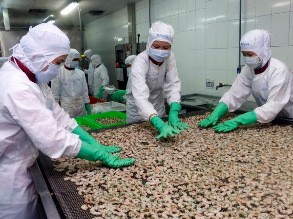 Australia sẽ siết chặt điều kiện nhập khẩu tôm từ ngày 7/7 ảnh 1