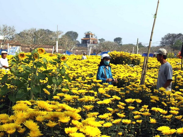 Các vùng trên cả nước trời nắng ấm, Nam Trung bộ có mưa rào ảnh 1