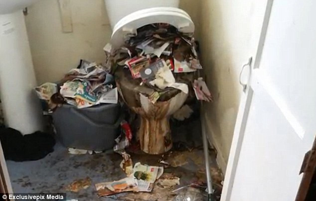 Sốc với những bức ảnh chụp từ ngôi nhà "bẩn nhất thế giới" ảnh 2