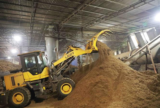 Việt Nam còn nhiều dư địa tăng trưởng xuất khẩu viên nén gỗ ảnh 1