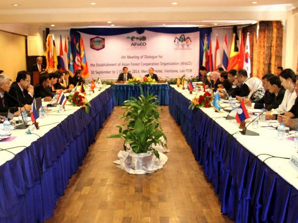 ASEAN và Hàn Quốc hợp tác bảo vệ phát triển rừng hiệu quả ảnh 1