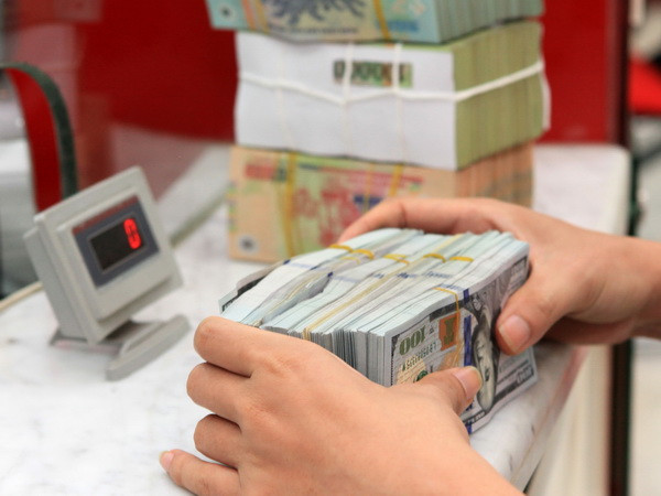 "Việt Nam nên thực thi chính sách điều chỉnh tỷ giá ở mức 2-3%" ảnh 1