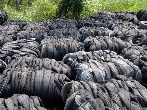 Gần 90 container lốp xe tồn đọng ở cảng Cát Lái và Hiệp Phước ảnh 1