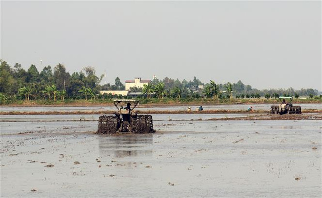 Đồng bằng sông Cửu Long tận dụng thế mạnh từ kinh tế sông ảnh 2
