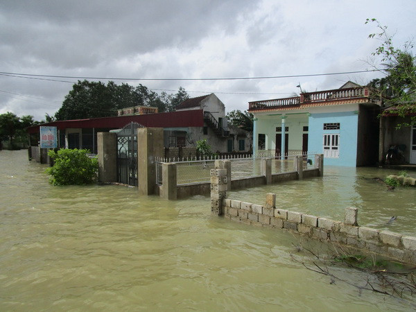 Một phụ nữ tử vong vì rơi xuống cống không có nắp đậy ảnh 1