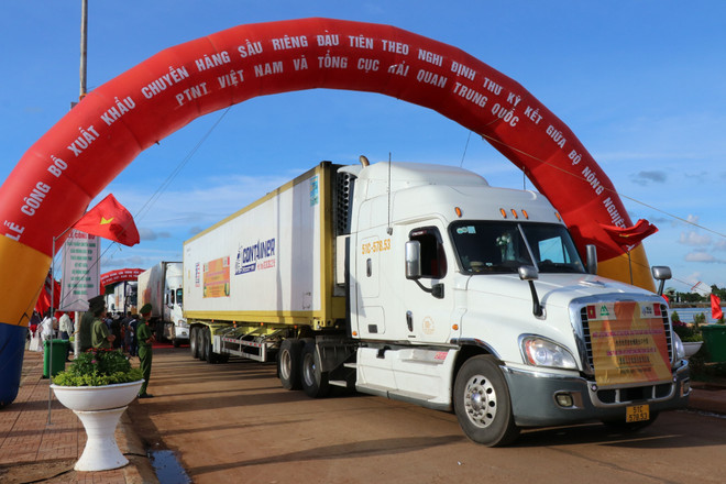 Xuất khẩu chính ngạch sang Trung Quốc: Để hương sầu riêng bay xa ảnh 3