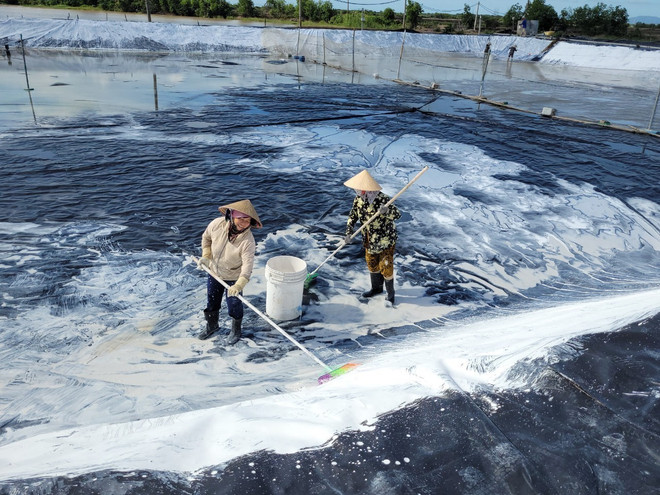 Bà Rịa-Vũng Tàu: Phát triển nông nghiệp ứng dụng công nghệ cao gặp khó ảnh 1