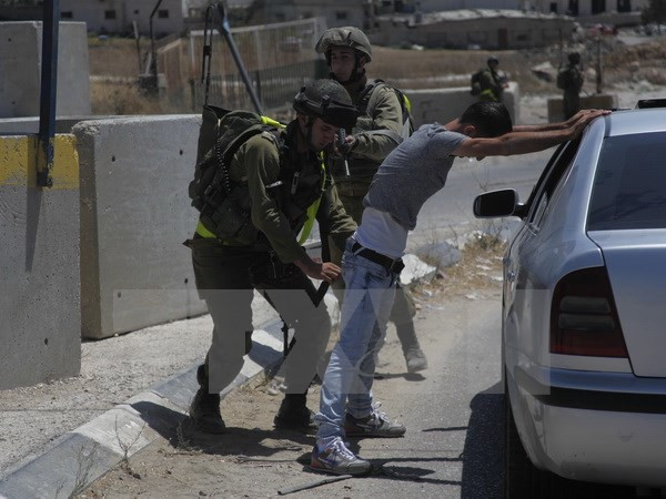 Palestine sẵn sàng tham gia các sáng kiến hòa bình ảnh 1