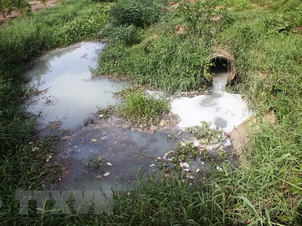 Xử phạt Công ty Miza Nghi Sơn gần 558 triệu đồng vi phạm môi trường ảnh 1