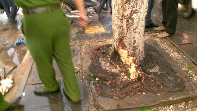 [Video] Gió to thổi bay biển quảng cáo làm hai người bất tỉnh ảnh 1