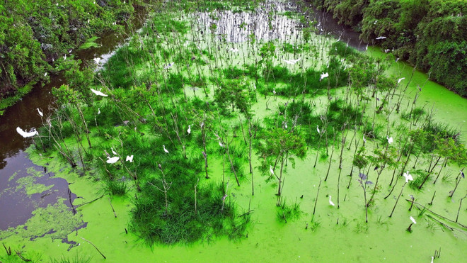 ttxvn du lich Ca Mau2_resize.jpg