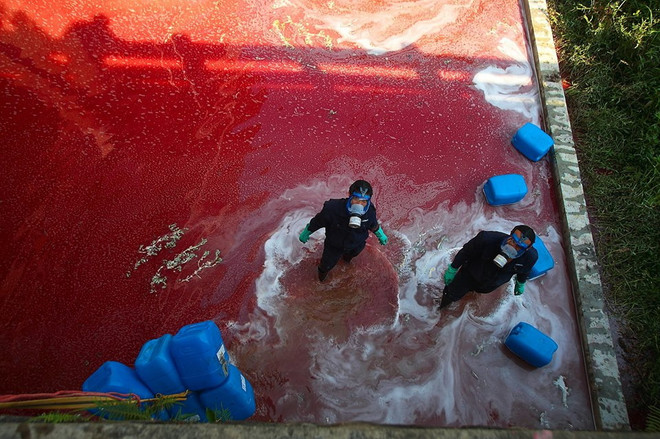 [Photo] Thêm một “dòng sông máu” xuất hiện tại Trung Quốc ảnh 2